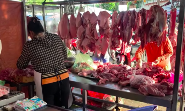 Giá heo hơi hôm nay 1.6.2026: Chưa thoát được xu hướng giảm