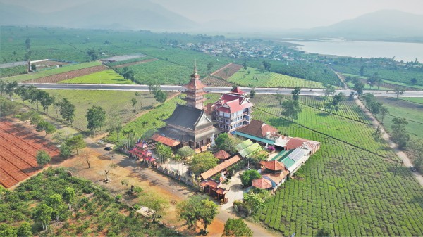 Thu không đủ trả tiền công, làm sao giữ vùng chè Biển Hồ?