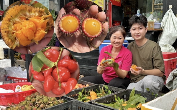 Trái gùi, mít nài, bứa đỏ... đổ bộ quán hủ tiếu ở TP.HCM, nhiều người lùng mua