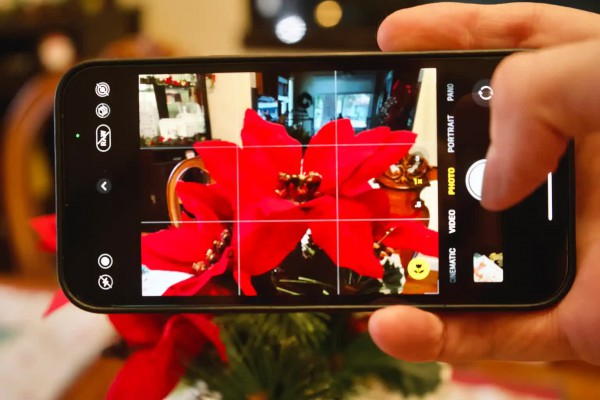 Vì sao camera iPhone đột nhiên hiện biểu tượng bông hoa?