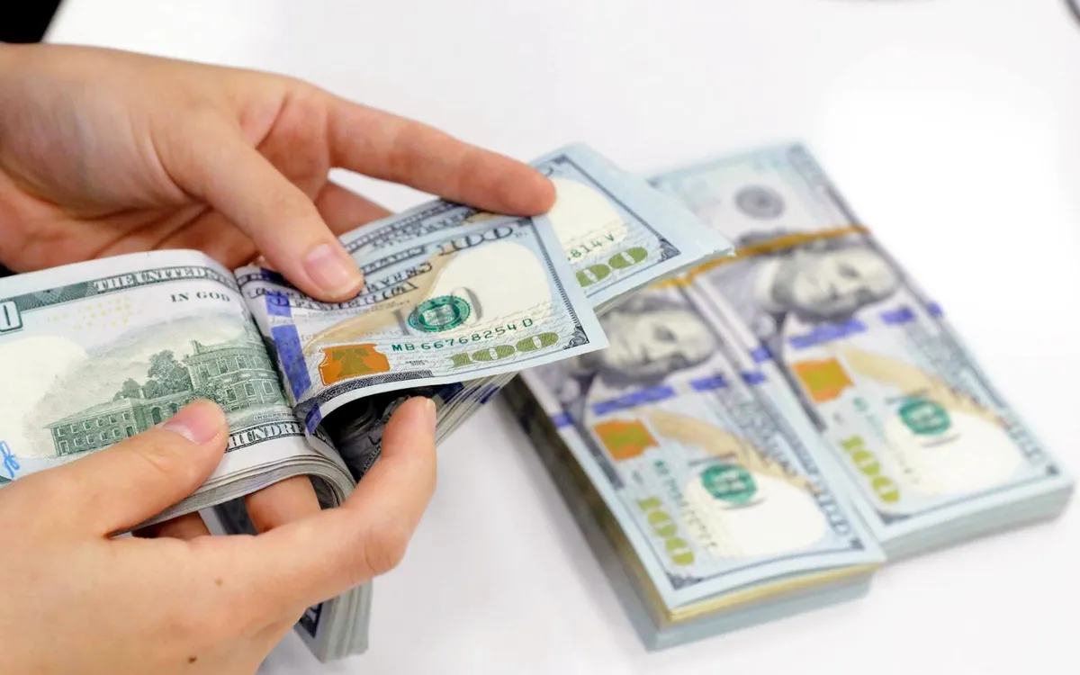 Đề xuất giới hạn khoản cho vay ra nước ngoài không quá 200 triệu USD mỗi năm - Ảnh minh họa: Trần Việt/TTXVN