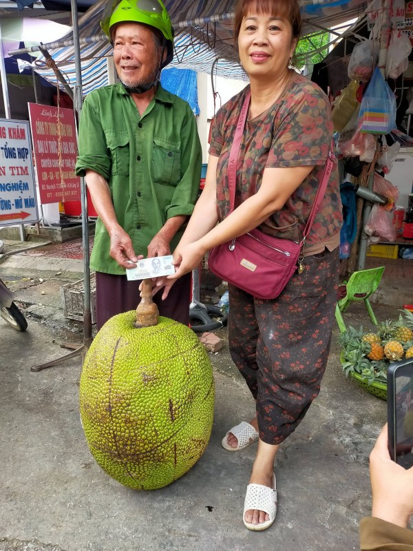 Quả mít khổng lồ nặng 53 kg: Bổ ra, ai trong chợ cũng bất ngờ