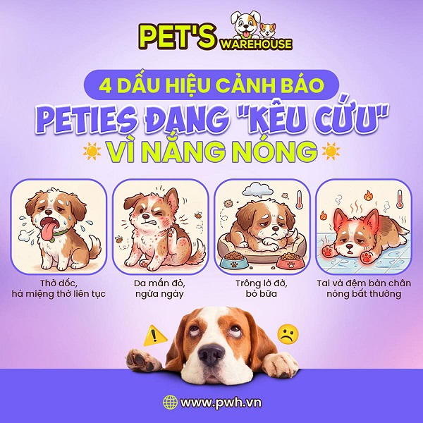 2-sai-lam-chu-nuoi-de-mac-phai