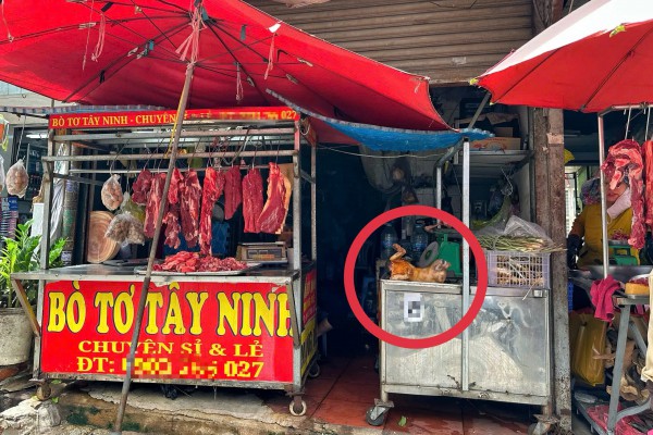 Phố thịt chó một thời ở TP.HCM thưa vắng, vì sao vẫn còn người bán cầy tơ? Phố thịt chó một thời ở TP.HCM thưa vắng, vì sao vẫn còn người bán cầy tơ?
